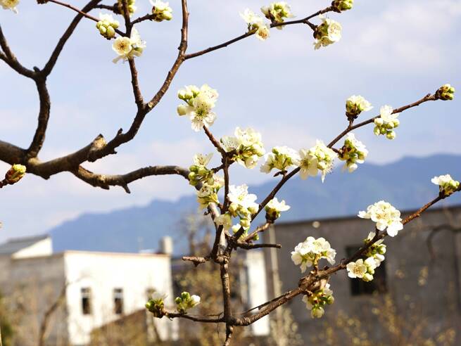 A7F74BD9F7EC4DAAA973B5C1067C39B2 A7F74BD9F7EC4DAAA973B5C1067C39B2