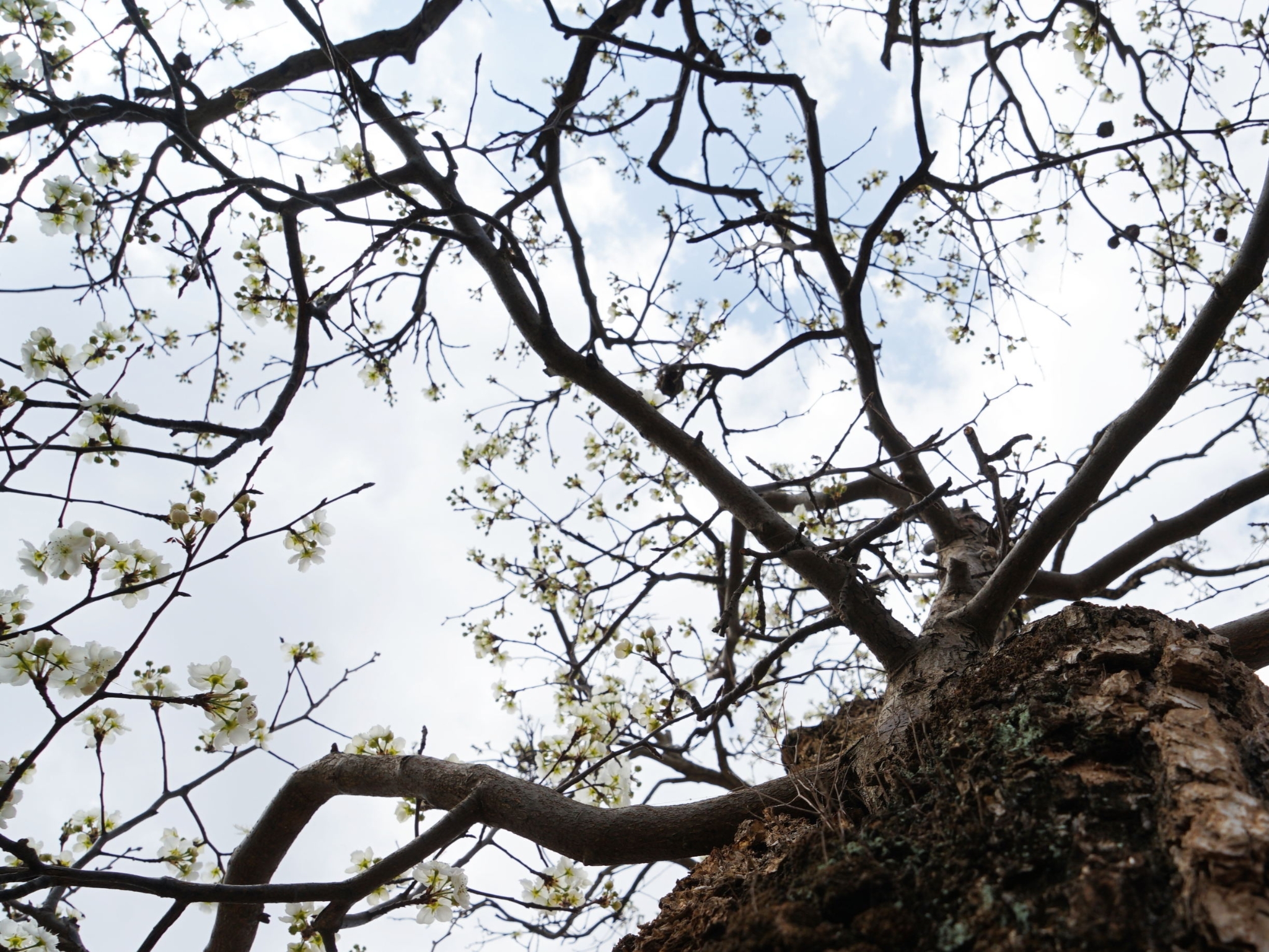 f02f2684a6d58a31ec6bebb2c3ec680c f02f2684a6d58a31ec6bebb2c3ec680c