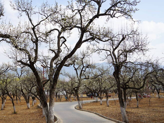 DE36D0842F0E474D94EF211B8AD742F0 DE36D0842F0E474D94EF211B8AD742F0