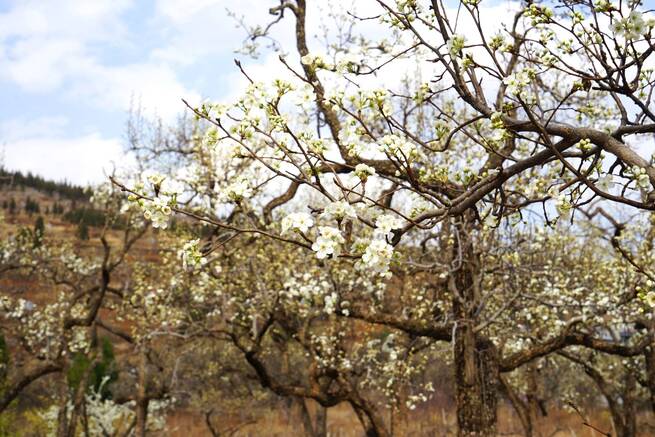 77111CF19AF6494B9B96077BC6C4F6EF 77111CF19AF6494B9B96077BC6C4F6EF