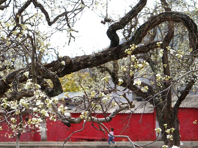 E1E77C04C0204725AC5AC6DB704DE953 E1E77C04C0204725AC5AC6DB704DE953