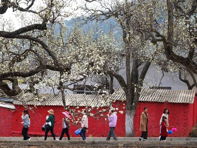 846CB6B429964FCD958ADD816D510D2B 846CB6B429964FCD958ADD816D510D2B