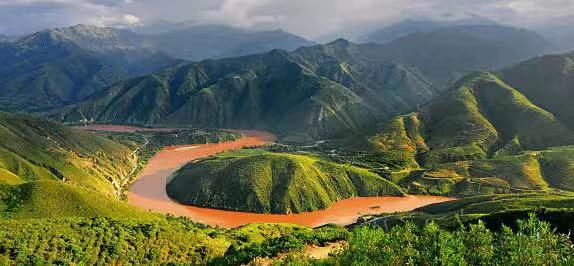 了不起的云南古茶樹紅河