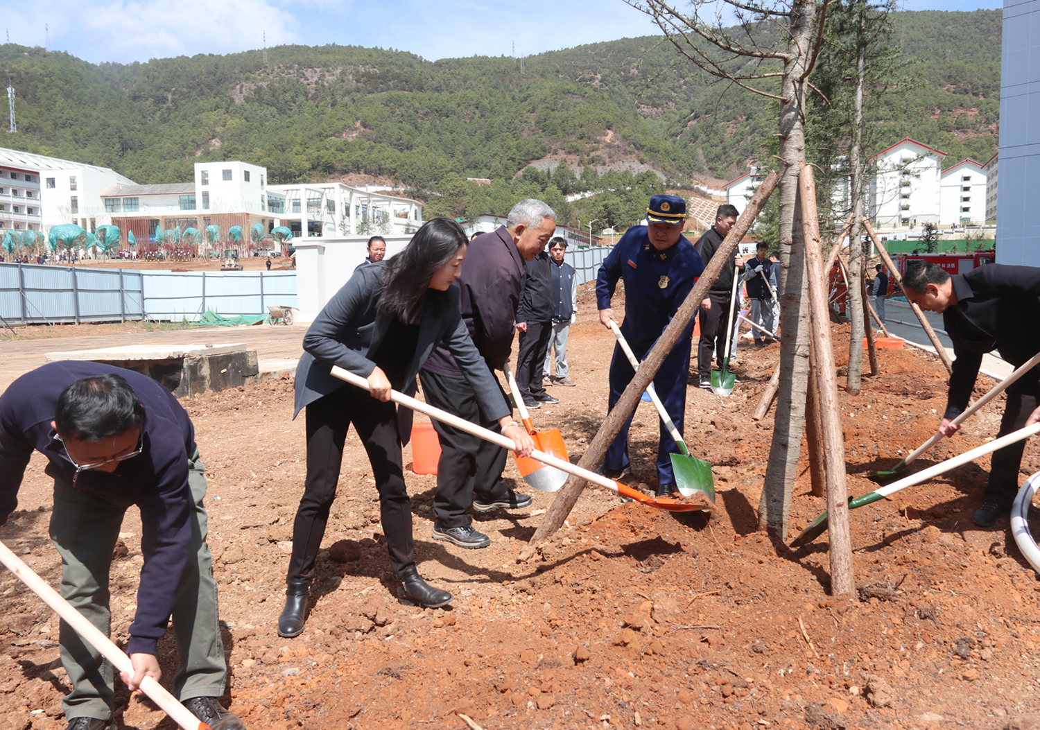 圖為培土護(hù)苗。木曉東攝