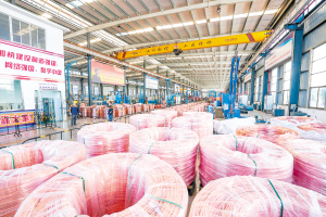 昆明三川電線電纜有限公司忙生產(chǎn)。受訪企業(yè)供圖 .jpeg