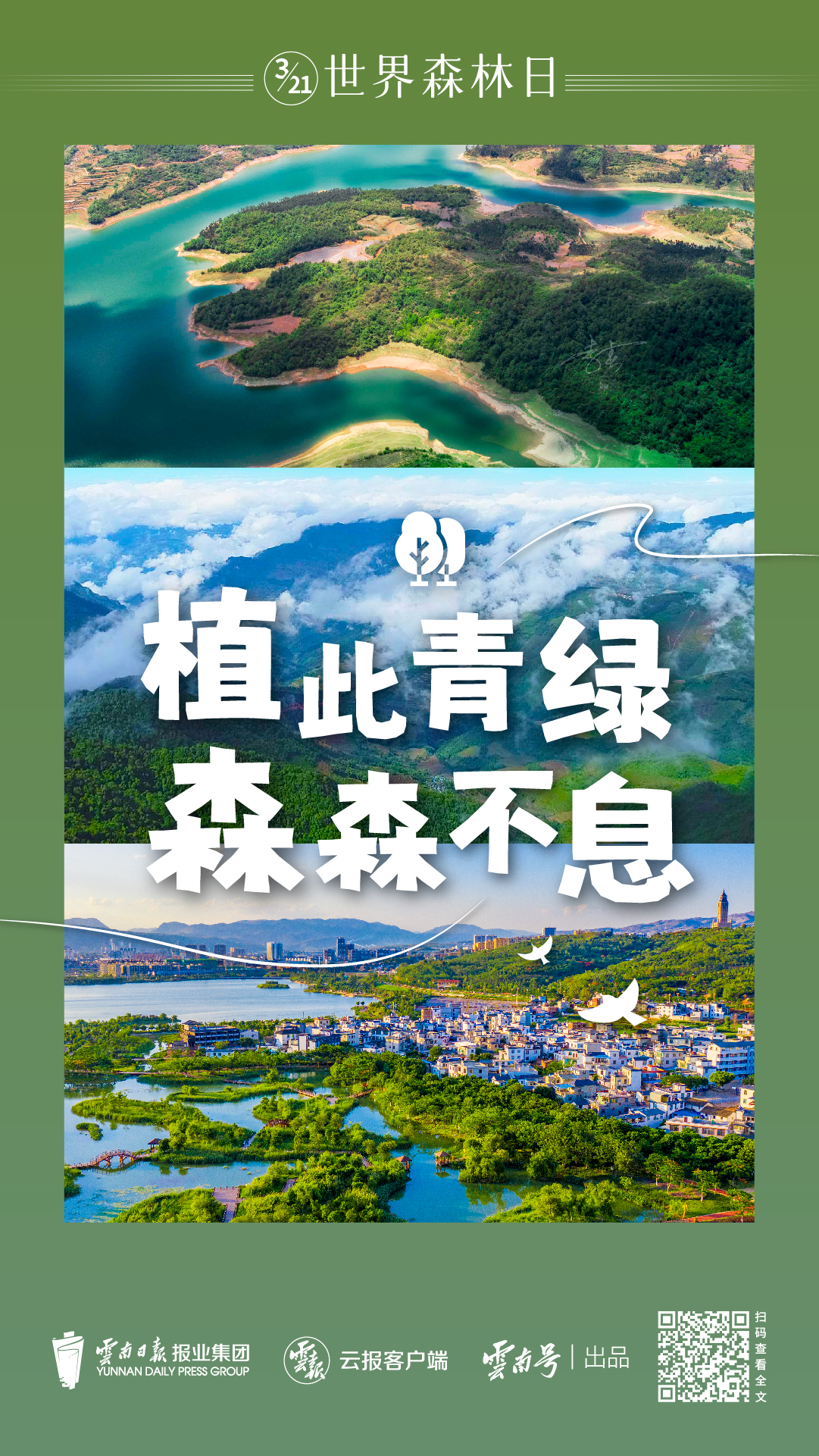 森林日_畫板 1 副本 8.jpg