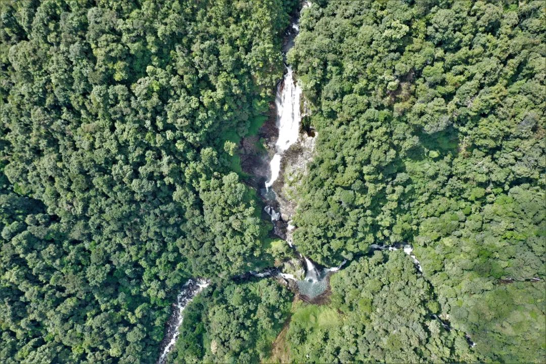 黃連山國(guó)家級(jí)自然保護(hù)區(qū) (2).jpg