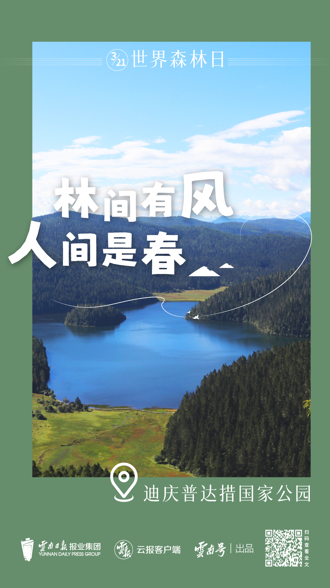 森林日_畫板 1.jpg