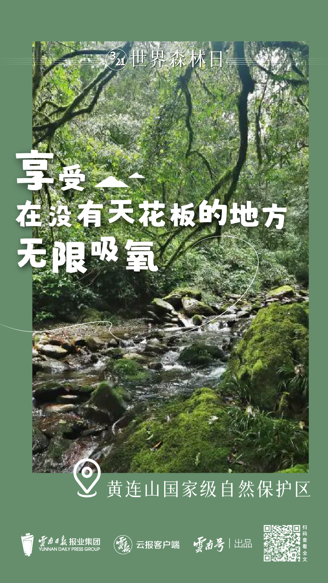 森林日_畫板 1 副本 3.jpg