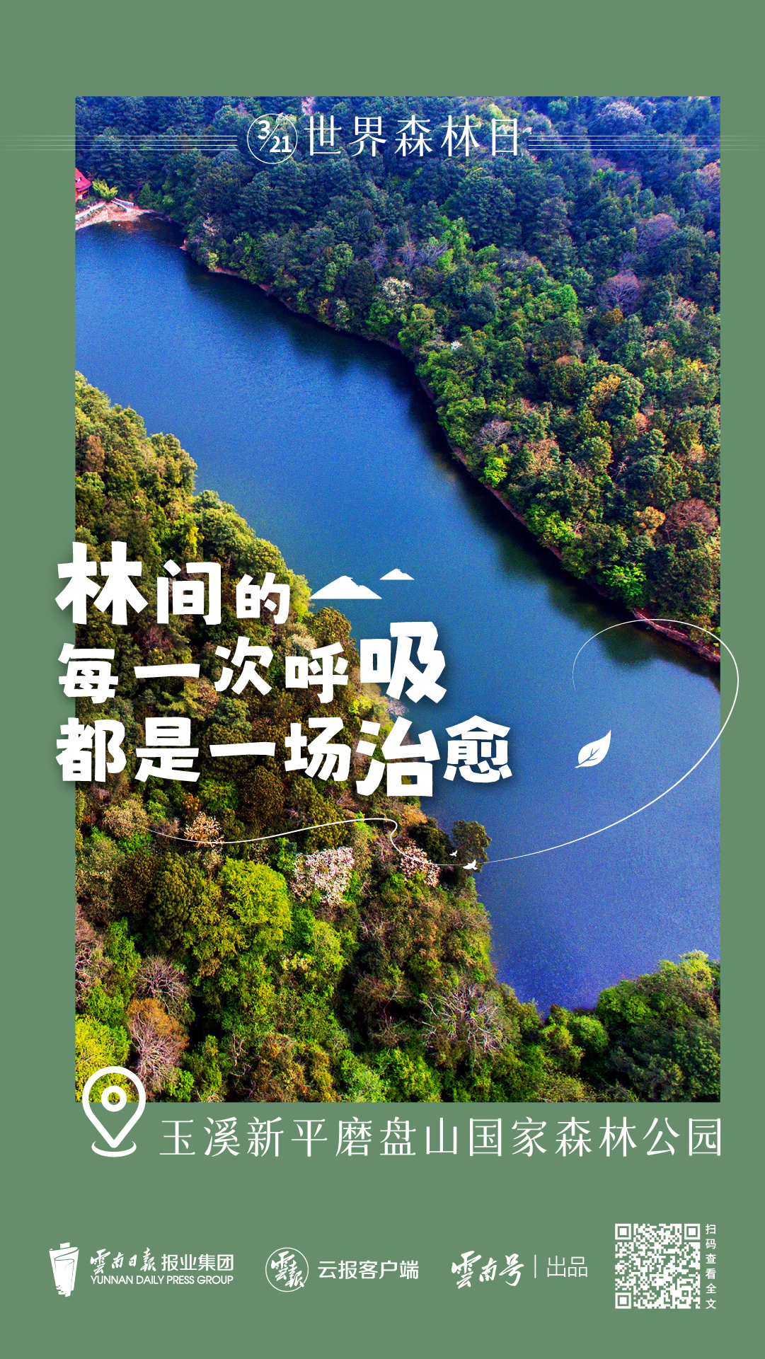 森林日_畫板 1 副本 7.jpg