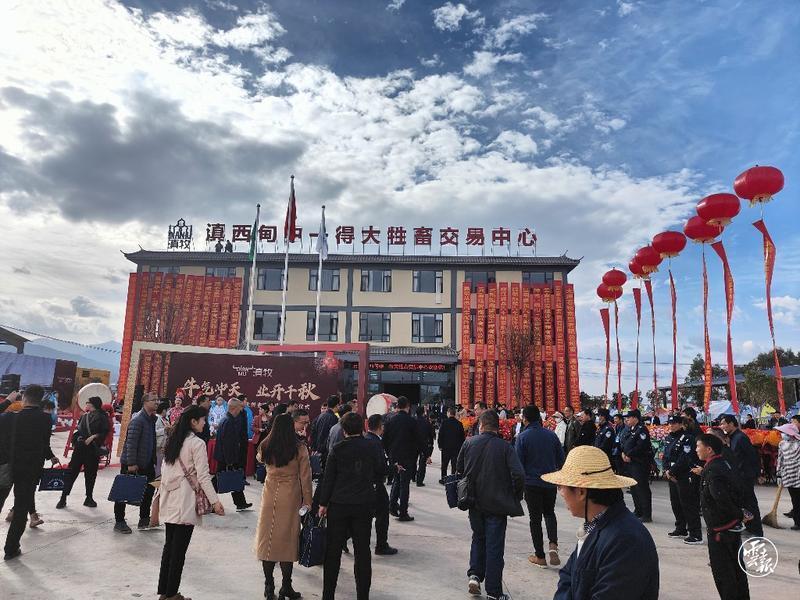大理建成年交易量30萬頭牲畜的智慧化交易中心