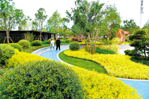 普吉公園。 　　記者楊艷輝攝.jpeg