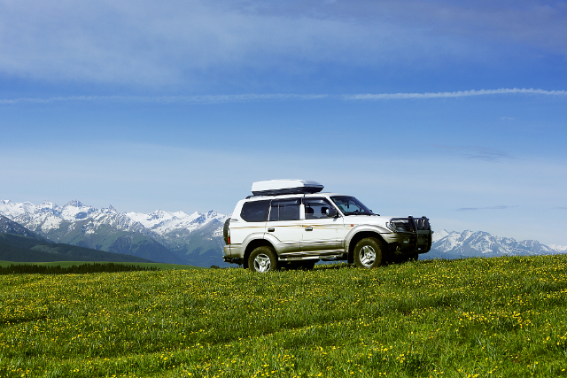 （圖：“高鐵+租車(chē)”的春游出行方式越來(lái)越受青睞 飛豬供圖） (1).png
