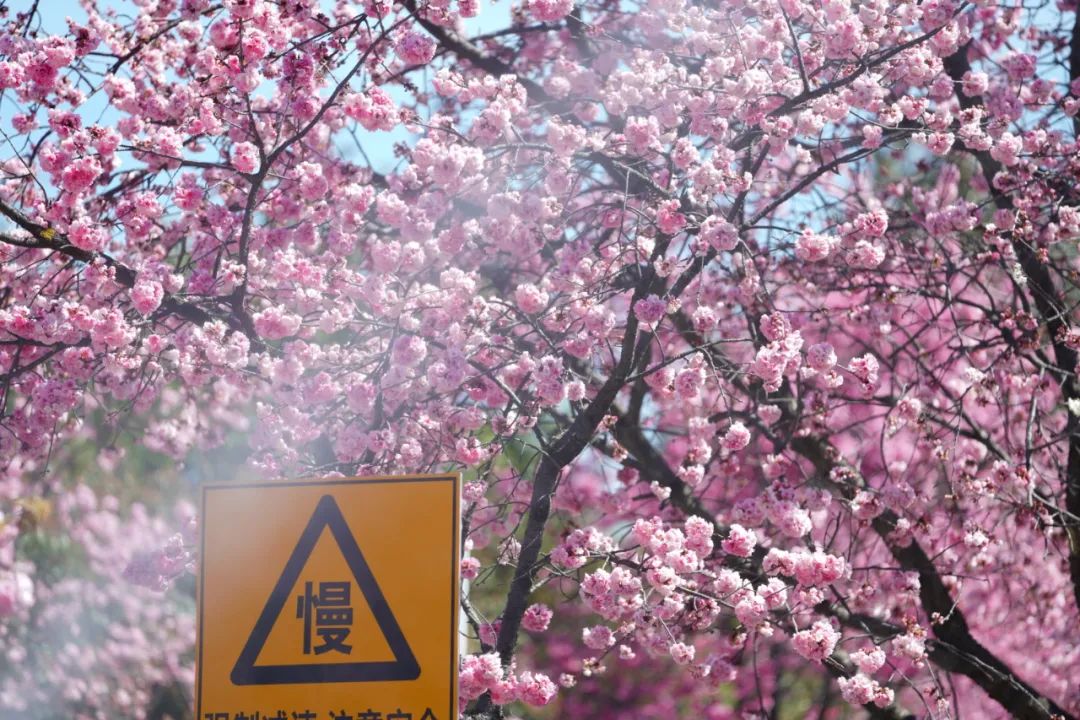 微信圖片_20230322153048.jpg 微信圖片_20230322153048.jpg