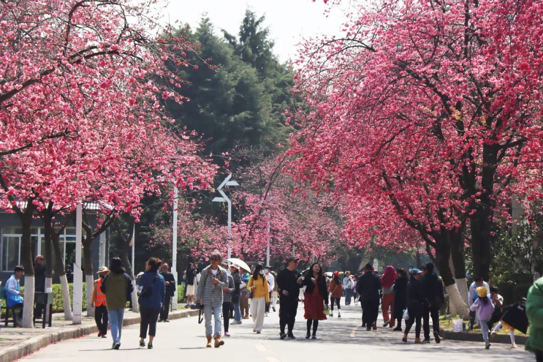 微信圖片_20230322153153.jpg 微信圖片_20230322153153.jpg