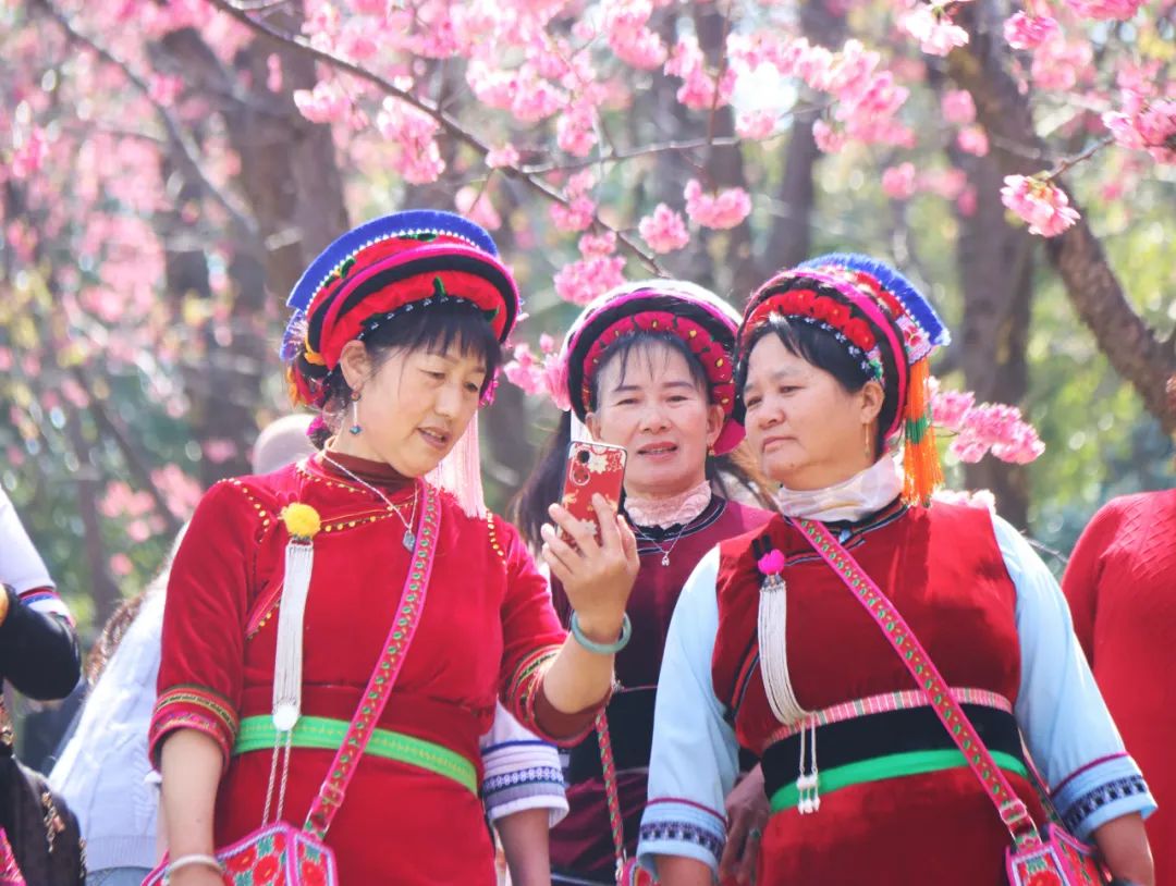 微信圖片_20230322160655.jpg 微信圖片_20230322160655.jpg