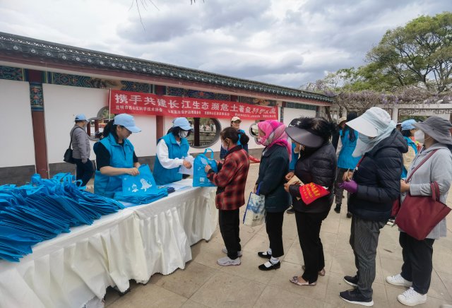 8000余尾滇池金線鲃放流昆明滇池