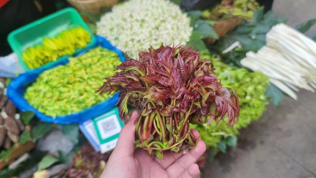春日上新 這些花都是云南人的餐桌美食1.jpg