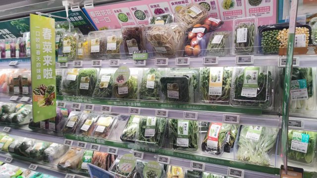 春日上新 這些花都是云南人的餐桌美食5 (2).jpg