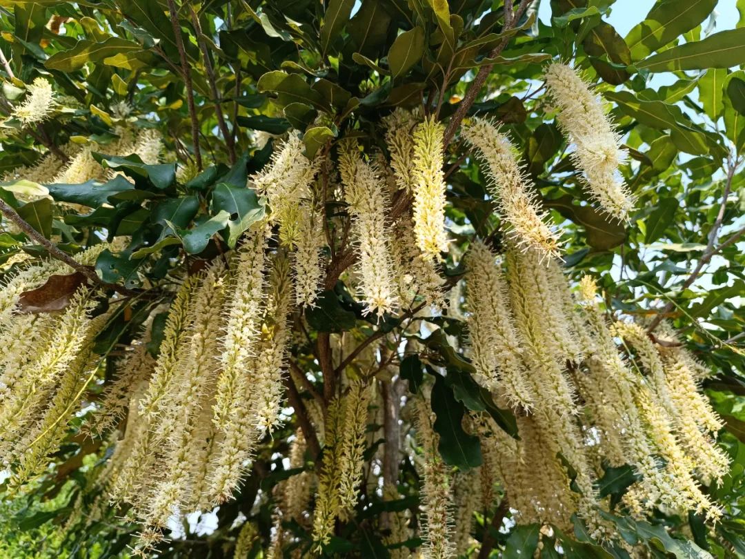 1679446043224549.jpg 640 (6).jpg