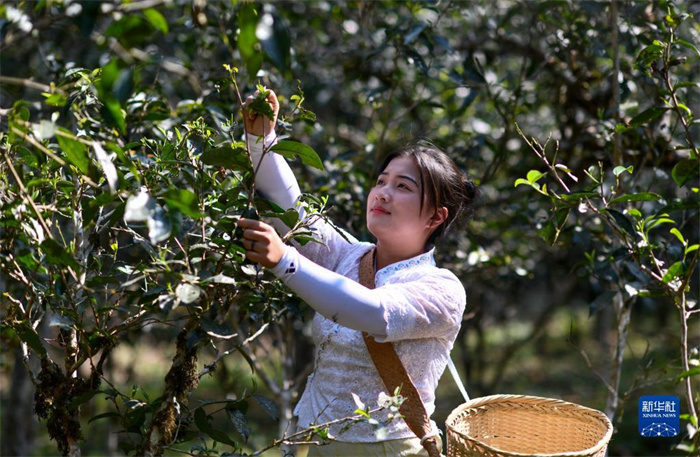 1129464506_16797463440531n 1129464506_16797463440531n