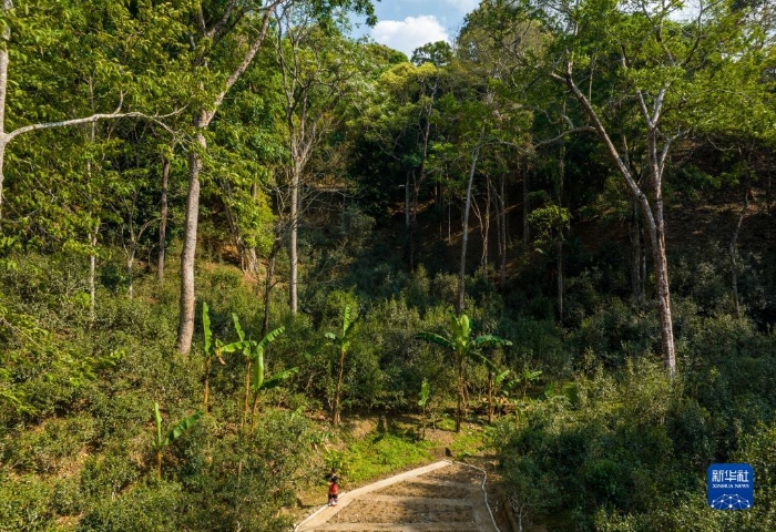 1129464506_16797463441981n 1129464506_16797463441981n