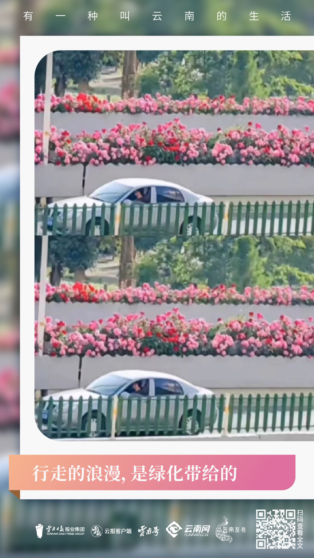 微信圖片_20230328160435.jpg 微信圖片_20230328160435.jpg