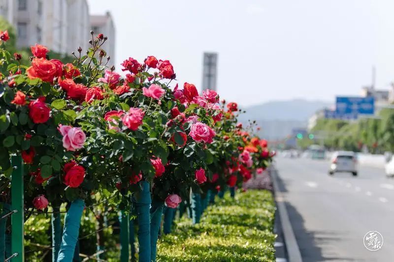 微信圖片_20230327184336.jpg 微信圖片_20230327184336.jpg