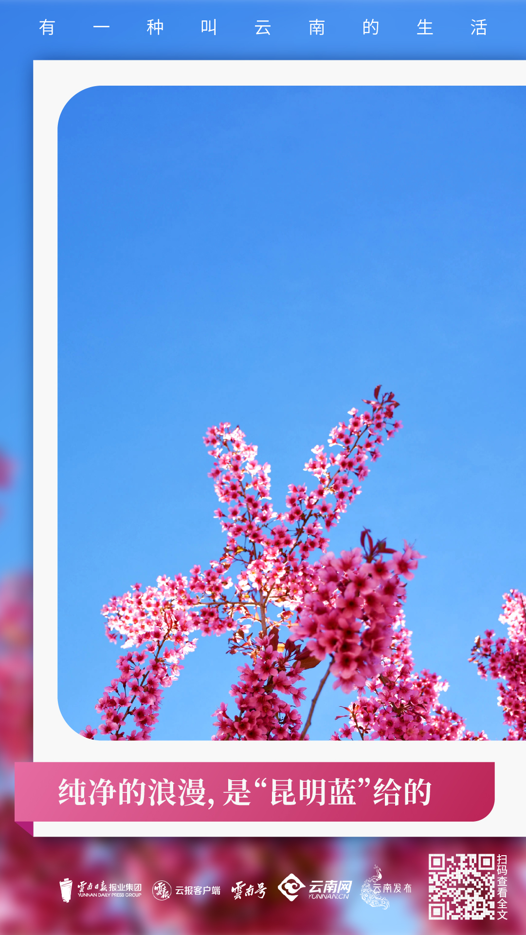 微信圖片_20230328150449.jpg 微信圖片_20230328150449.jpg