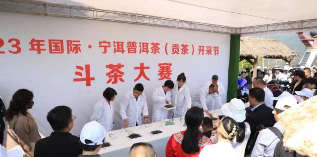 現(xiàn)場斗茶大賽 寧洱縣融媒體中心供圖.jpg
