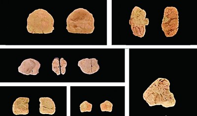 尋古探源 聆聽文明回聲——2022年度全國十大考古新發(fā)現(xiàn)掃描