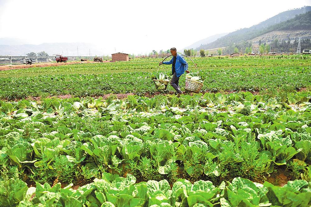 微信圖片_20230331085319 微信圖片_20230331085319