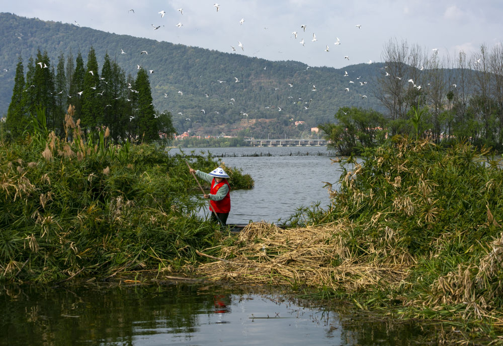 守護(hù)滇池三十余載！致敬巾幗打撈隊(duì)15.jpg