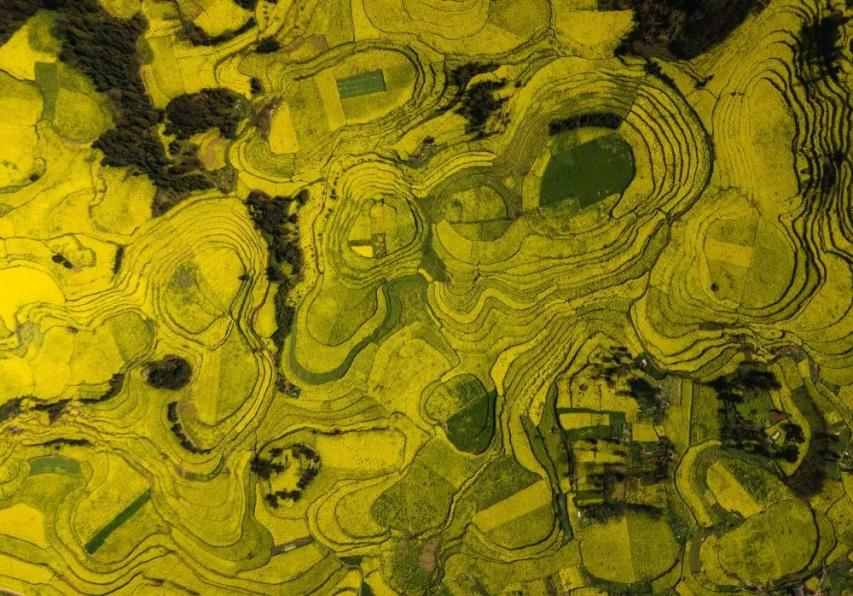 00305360079_661a3c7b 00305360079_661a3c7b