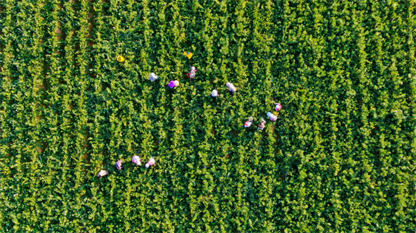 00305360124_70e47395 00305360124_70e47395