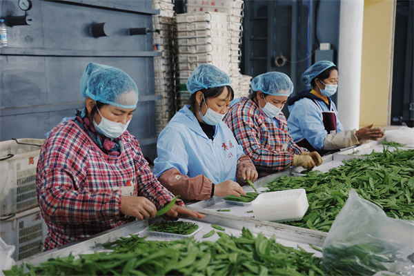 00305360125_790b2bbd 00305360125_790b2bbd