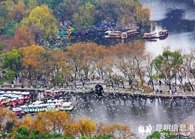 微信圖片_20230403090824 微信圖片_20230403090824