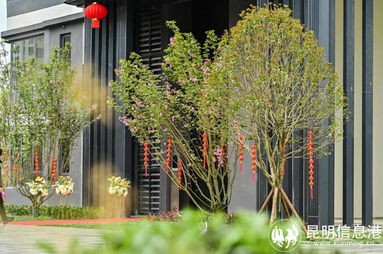 貴陽·融創(chuàng)城交付實(shí)拍2