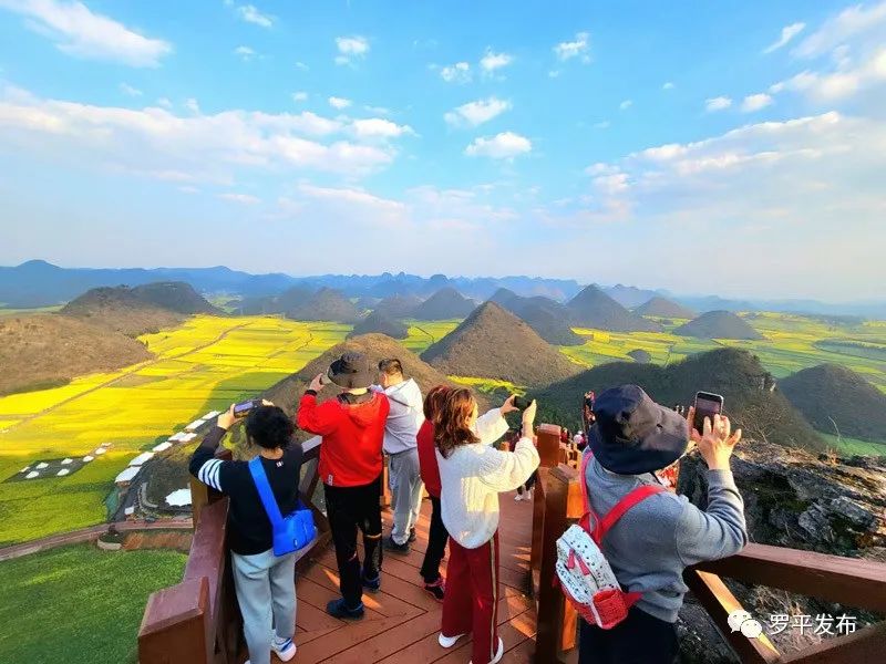 LOCAL1680400747365G5INW3U3LC.jpg 圖片