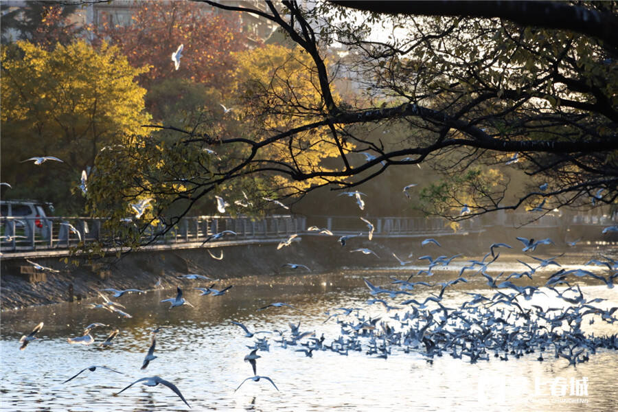 截圖20211010222254 截圖20211010222254