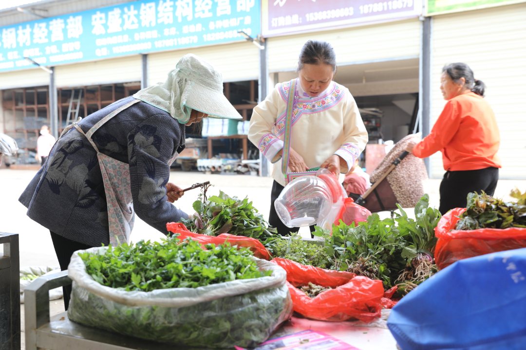 F09A2782.JPG F09A2782.JPG