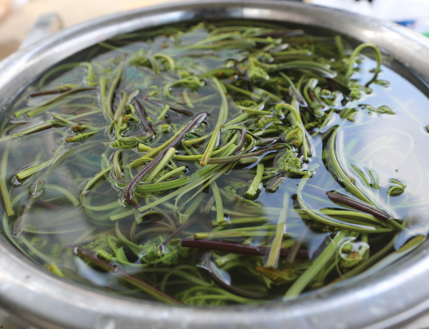 F09A2723.JPG F09A2723.JPG