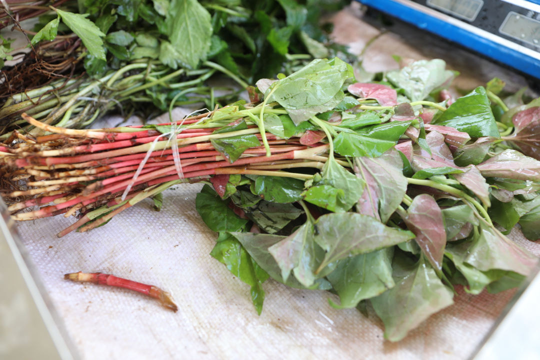 F09A2749.JPG F09A2749.JPG