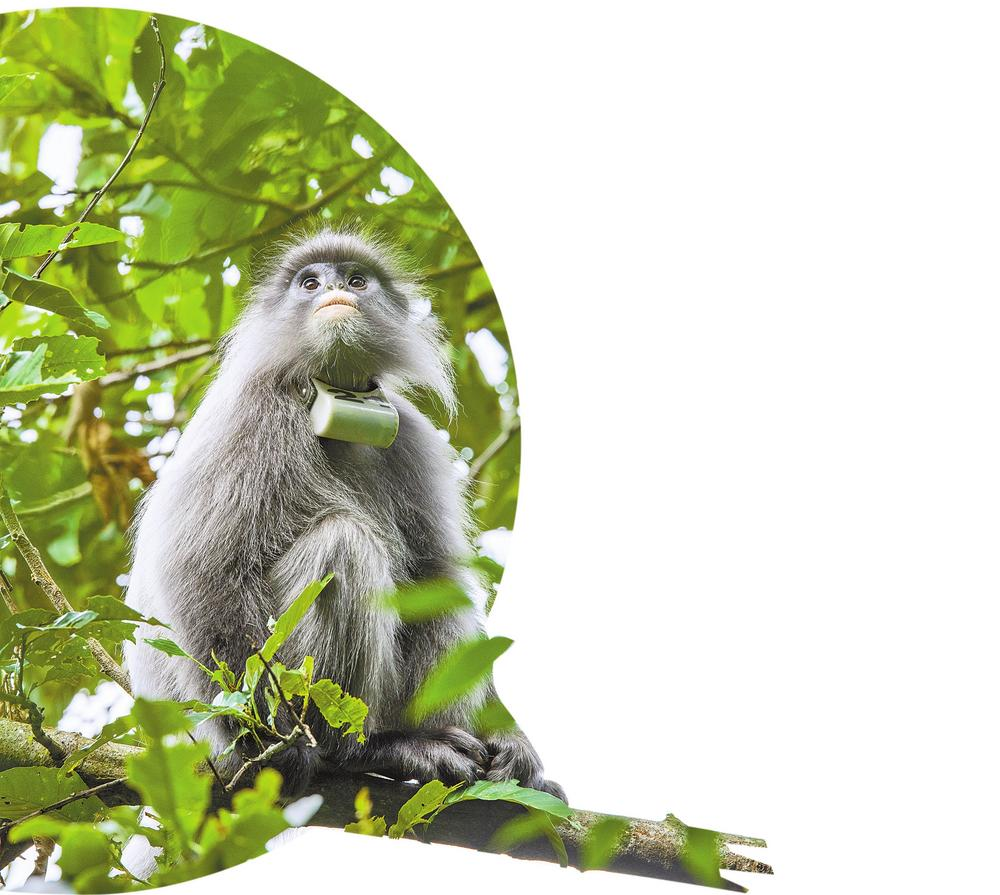 微信圖片_20230416102126 微信圖片_20230416102126