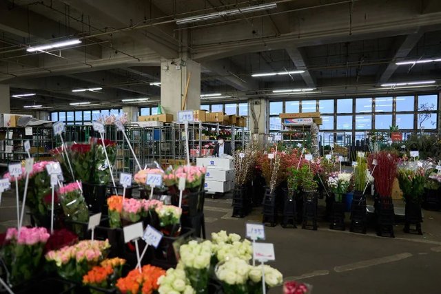 云花（圖源 新華社）