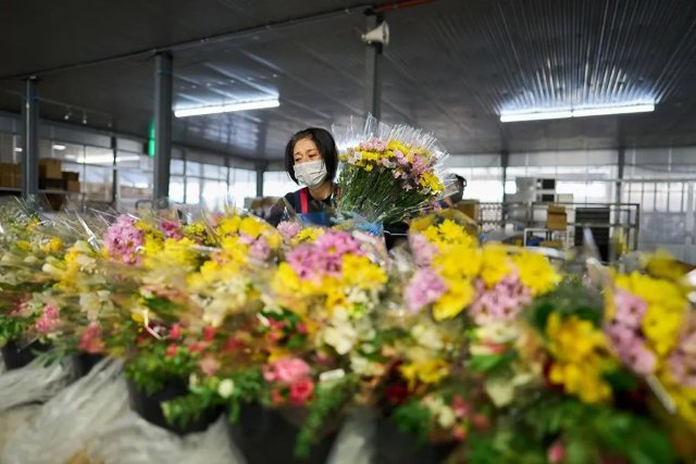 云花（圖源 新華社）