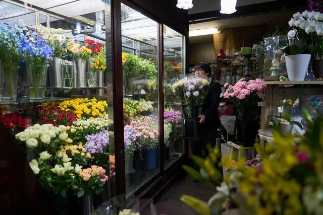 云花（圖源 新華社）