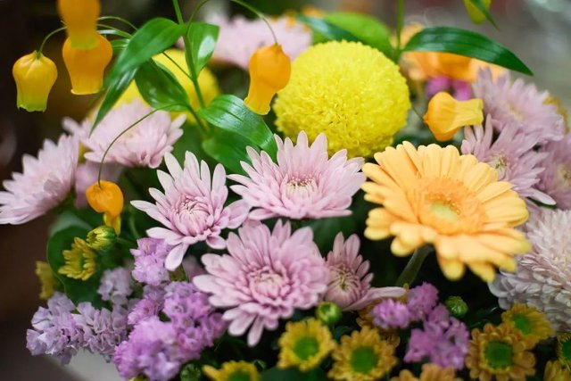 云花（圖源 新華社）