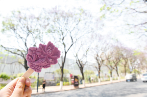 94651681765096255 94651681765096255