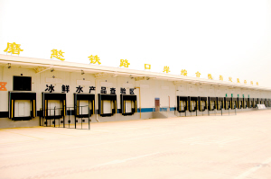 磨憨鐵路口岸綜合性指定監(jiān)管場地。昆明海關(guān)供圖